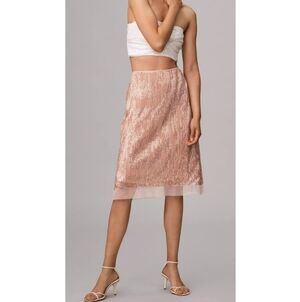 Anthropologie Sarah Hann Sequin Midi Skirt